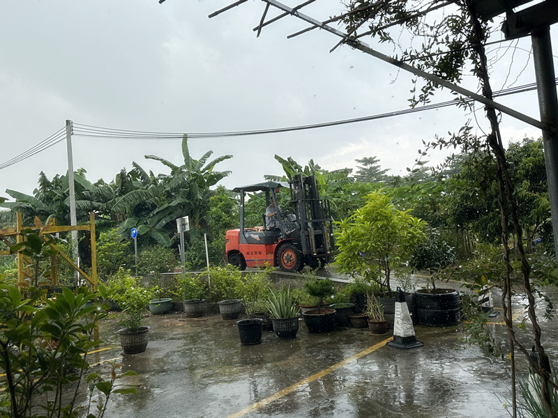 汕尾海丰叉车培训要多少钱， 汕尾海丰叉车培训基地哪里有